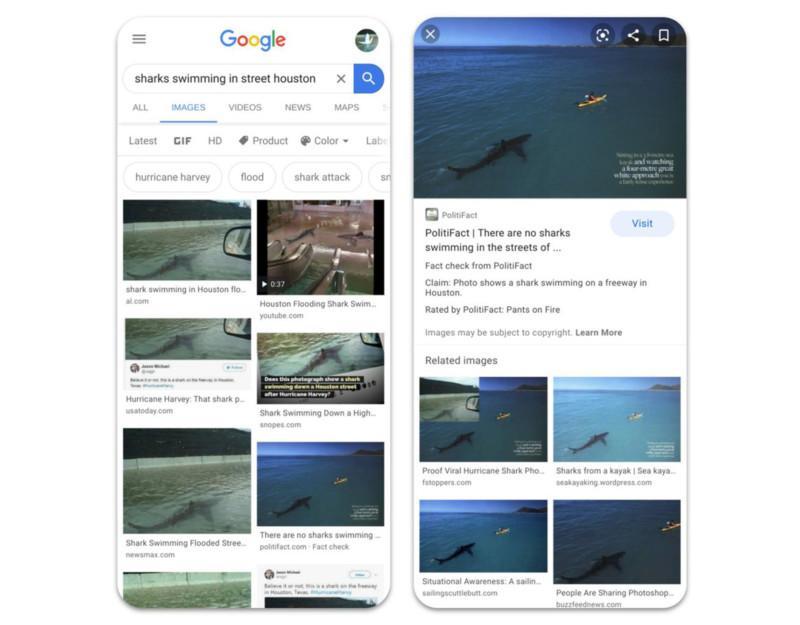 قابلیت راستی آزمایی در جستجوی تصاویر گوگل