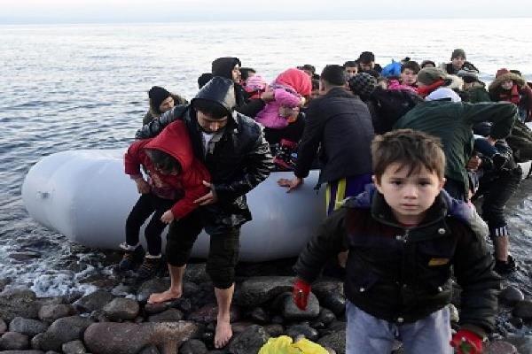 ترکیه 276 مهاجر غیر قانونی را بازداشت کرد