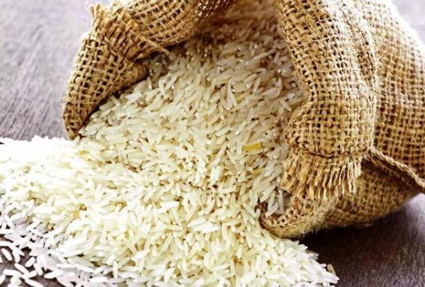 توکلی: آشفتگی بازار برنج میراث دولت قبل است، پیشنهاداتی برای تنظیم بازار