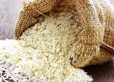 توکلی: آشفتگی بازار برنج میراث دولت قبل است، پیشنهاداتی برای تنظیم بازار