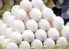 کاشانی: دلال بازی شبکه توزیع مانع کاهش قیمت تخم مرغ است