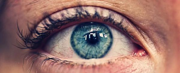 تغییرات اقلیمی چگونه بینایی ما را تهدید می کنند؟ تغییرات اقلیمی چگونه بینایی ما را تهدید می نمایند؟