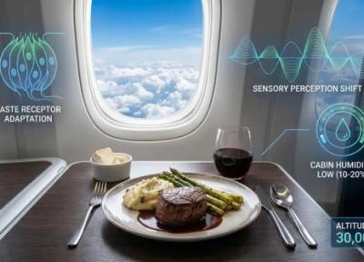 چرا در هواپیما غذا مزه واقعی ندارد؟